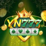 Yn777 apk